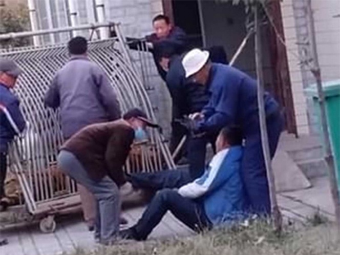  Tigre ‘despierta’ de anestesia y muerde a veterinario