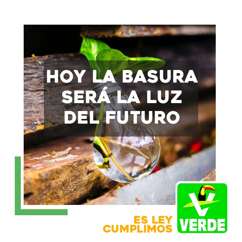  LAS ENERGÍAS RENOVABLES SON EL PRESENTE Y EL FUTURO GRACIAS A LAS REFORMAS DEL PARTIDO VERDE