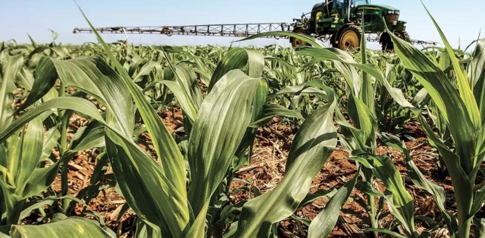  Proyecta Vaca Pérez a Tamaulipas como potencia en agroindustria