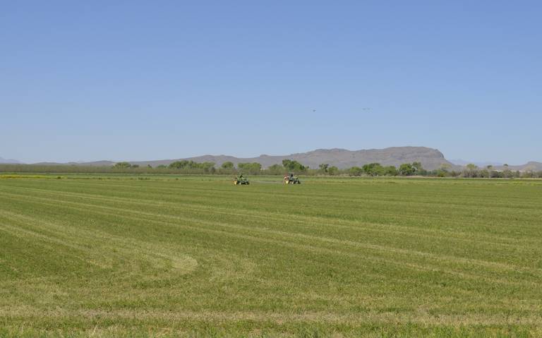  Agricultores del estado de Chihuahua adeudan más de 3 mil mdp a la CFE