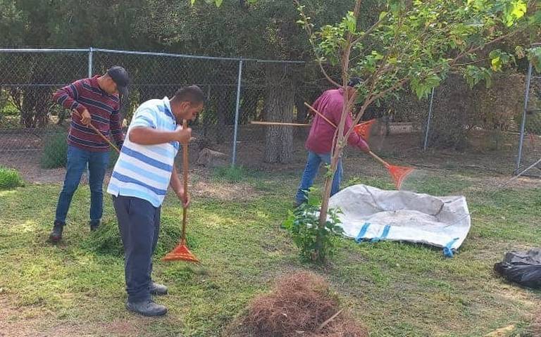  Canalizó Justicia Cívica a 88 ciudadanos para trabajo comunitario