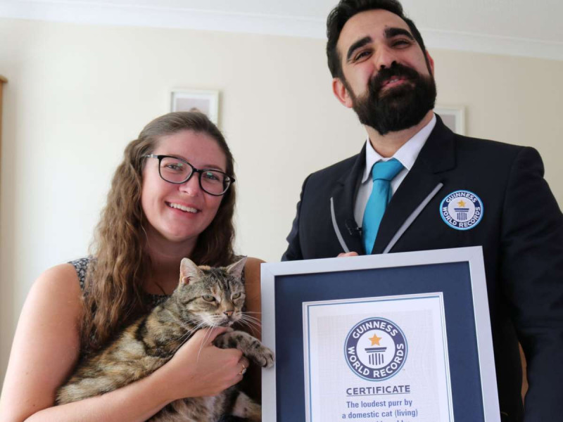  Ella es Bella, la ‘michi’ con el ronroneo más ruidoso del mundo… y ya tiene el Récord Guinness