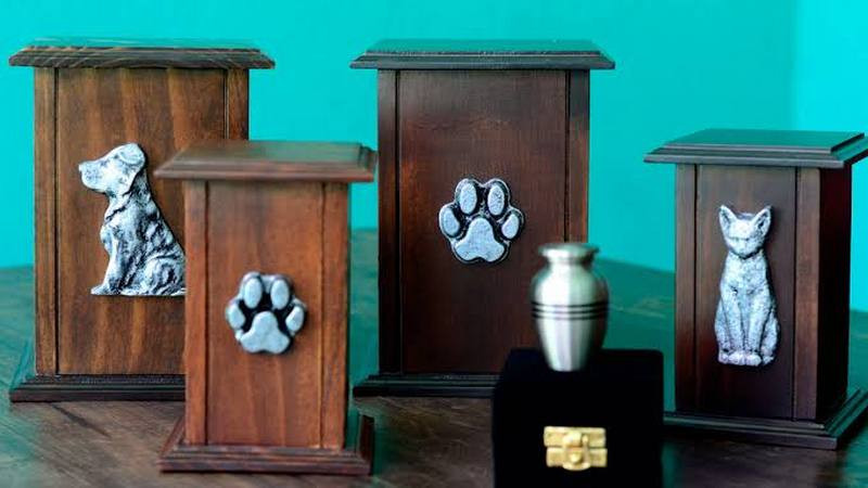  Cremación de mascotas a bajo costo en el Centro de Atención Animal de Morelia