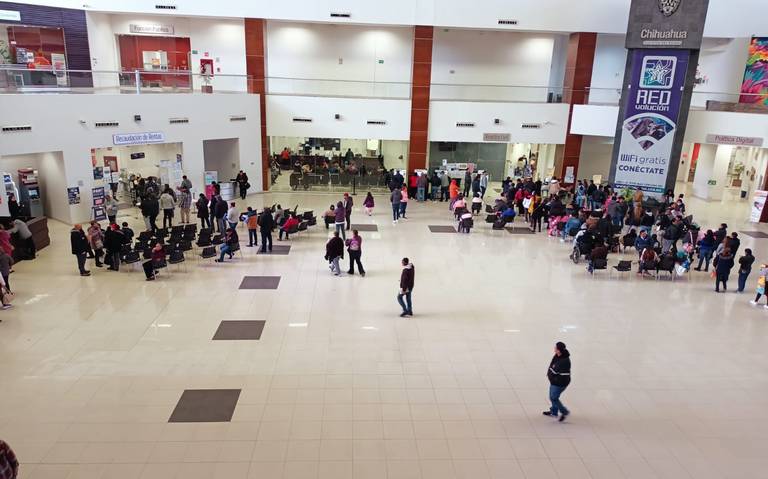  Cien mil contribuyentes se acercan a pagar revalidación vehicular