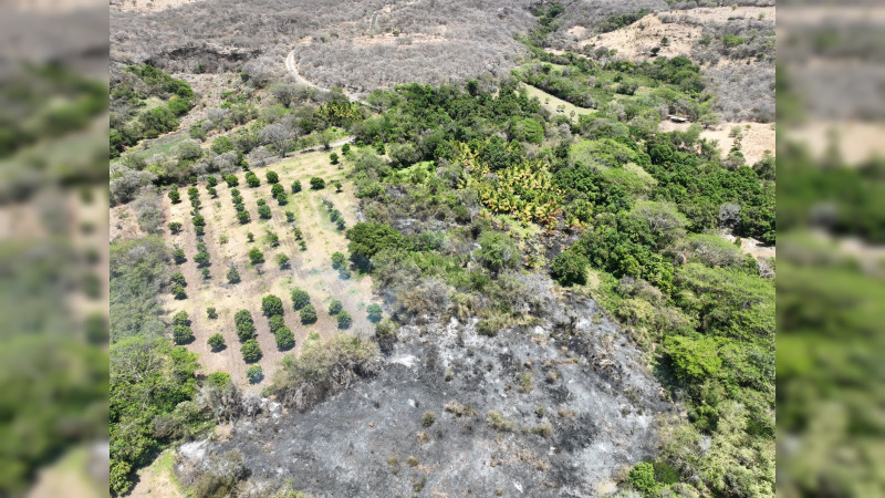  Combatientes apagan incendio forestal en Chinicuila y controlan 5 más en Michoacán