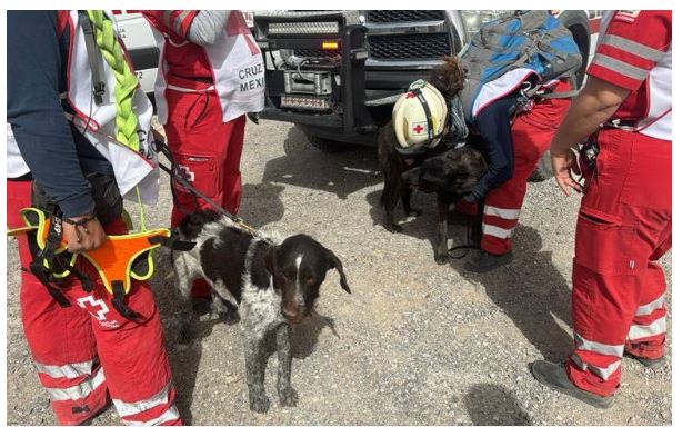  Cuerpos de rescate buscan a cuatro migrantes extraviados en el desierto de Samalayuca