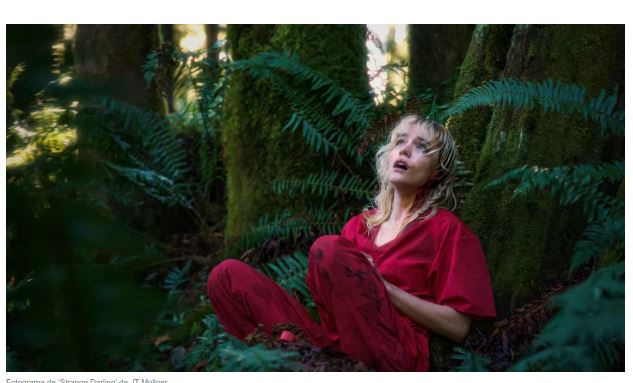  JT Mollner: “Como cineasta me interesa crear personajes que tengan complejidad emocional”