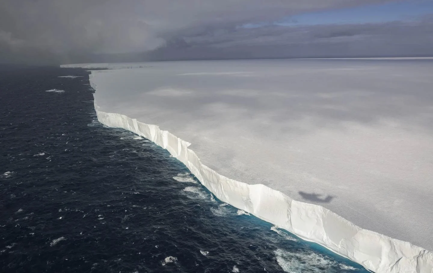  Iceberg más grande del mundo chocaría con isla repleta de pingüinos y focas