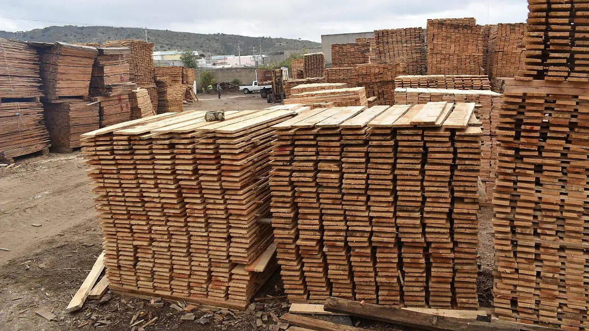  Industria maderera en la región sur se reactivaría en marzo