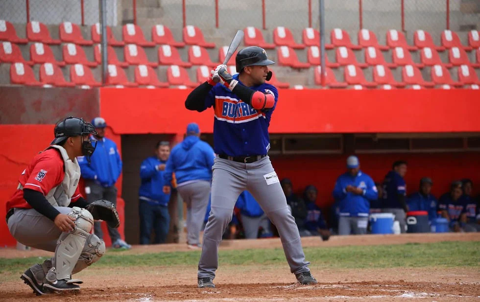  Mantienen fuerte aleteo