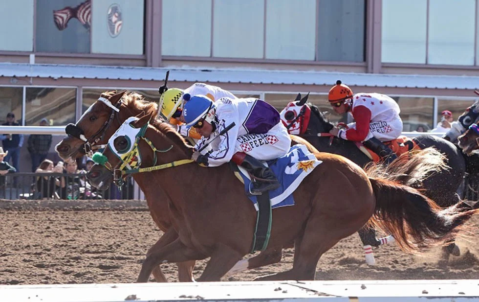  Easily Bella CSJ gana la edición 14 del Sunburst Stakes