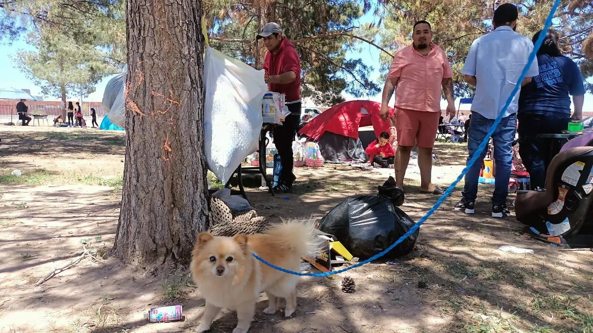  Fueron dos personas lesionadas y el fallecimiento de un bebé en Samalayuca durante festividades de Pascua
