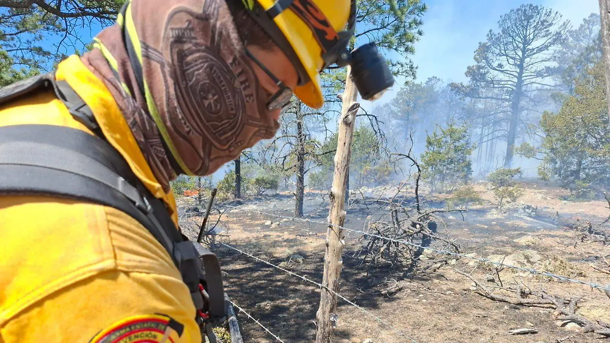  Incendios forestales se triplican a causa de la sequía en Chihuahua